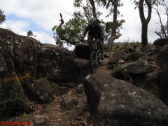 20070114-Coba 287 